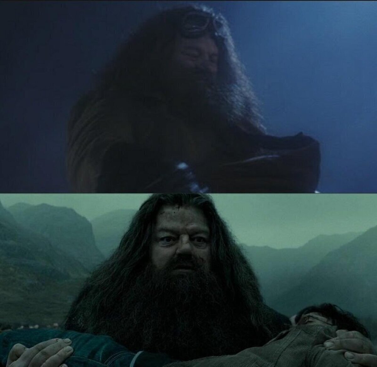 Hagrid fue quien rescató a Harry Potter para más tarde ser el que llevaría su cuerpo inerte de regreso a Hogwarts. Hoy es un día triste para el mundo mágico 