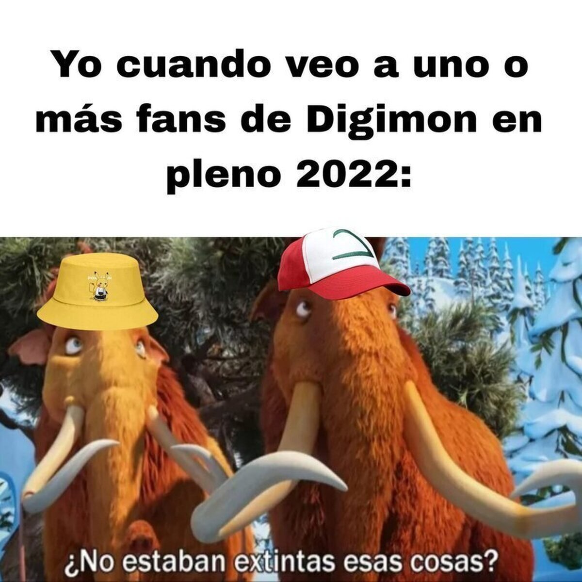 ¿Aún existen ? 