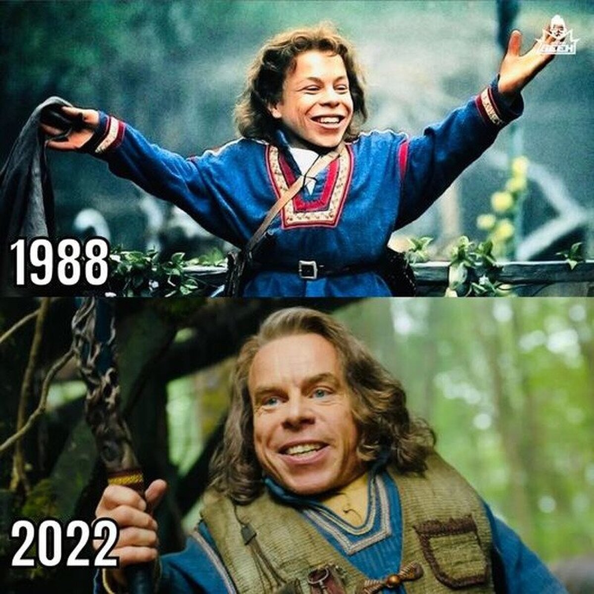 Te esta gustando la nueva Willow?