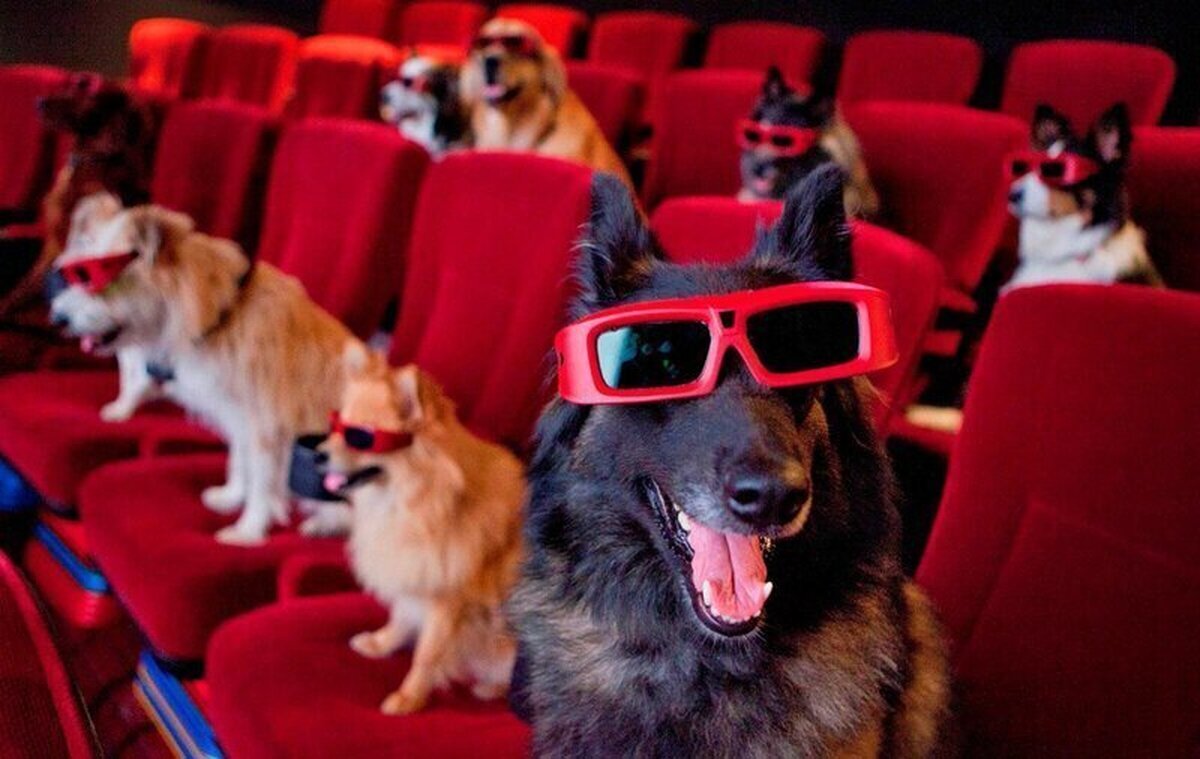 ¿Cánido a ver? Una superromántica