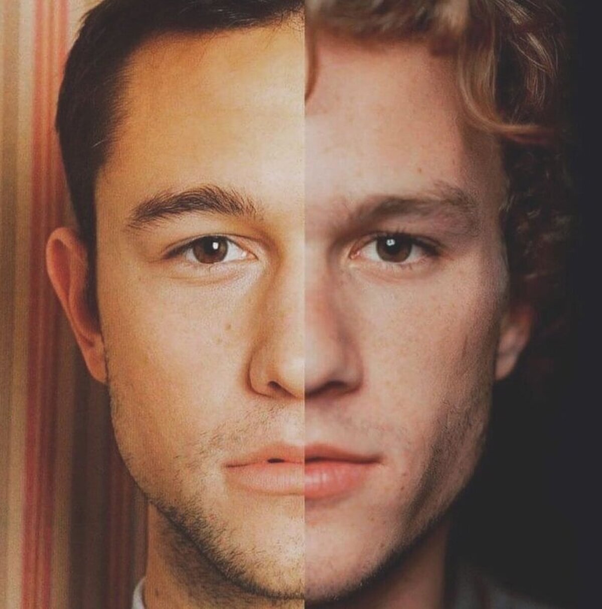 ¿A vosotros también os ha recordado Joseph Gordon-Levitt en algún momento al malogrado Heath Ledger?  