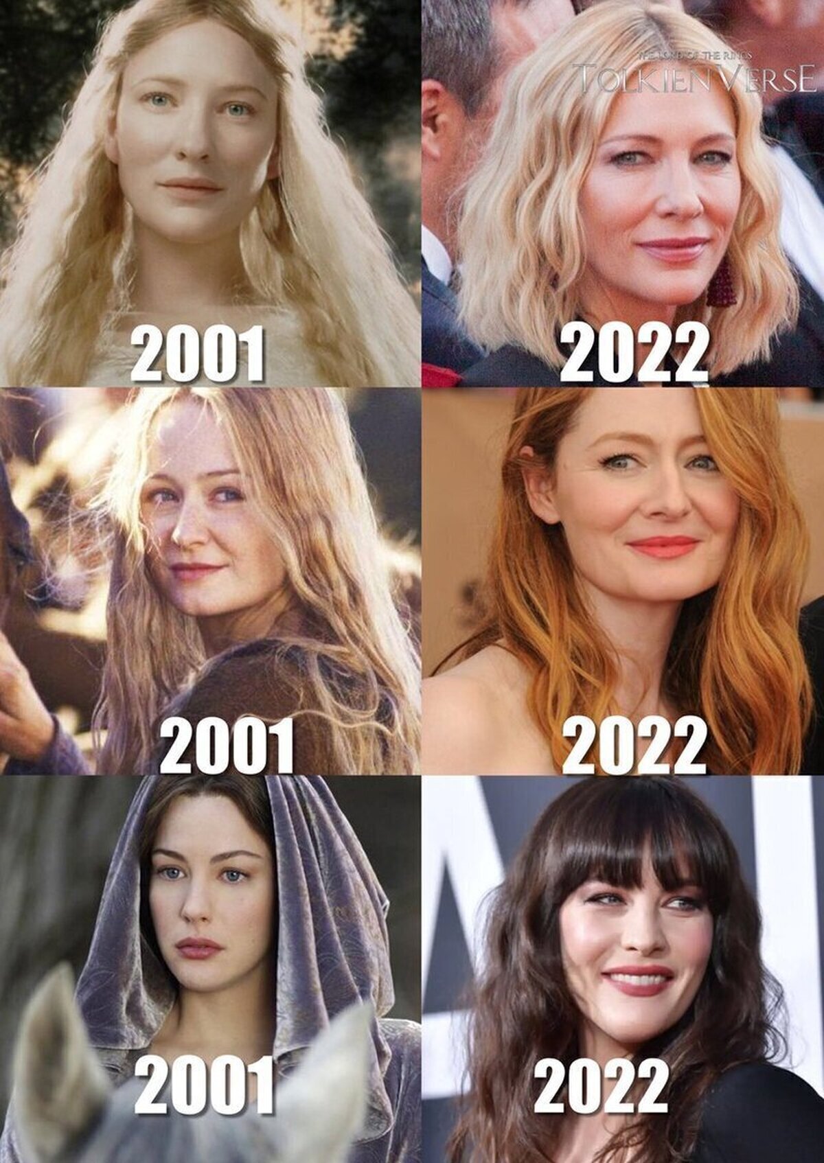Las chicas de El Señor de los Anillos antes y ahora