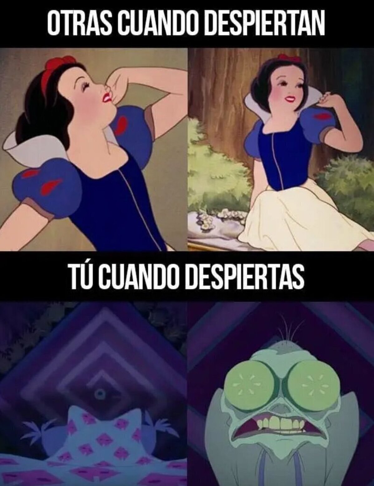 No lo entiendo  