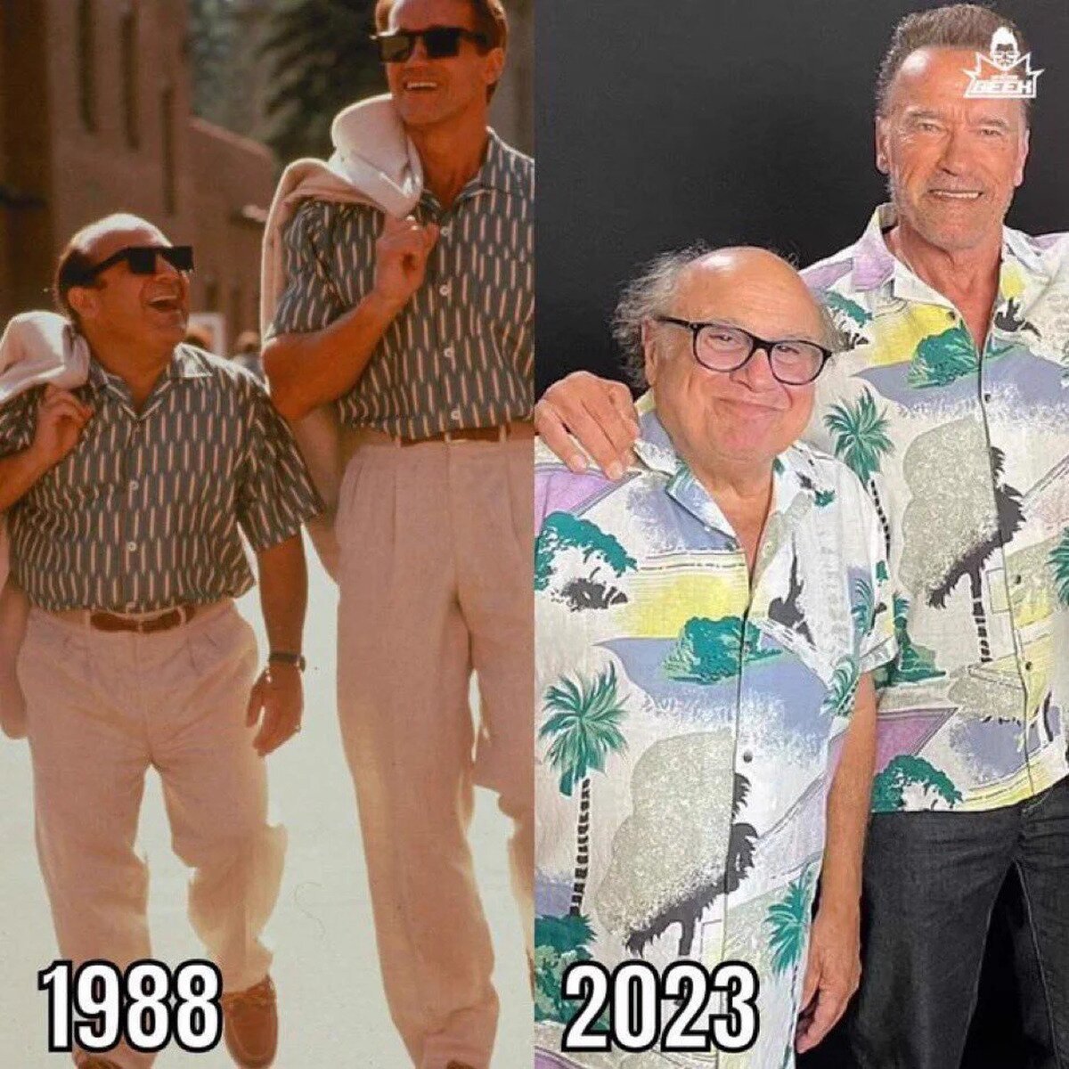 Sigo sin encontrar la diferencia
