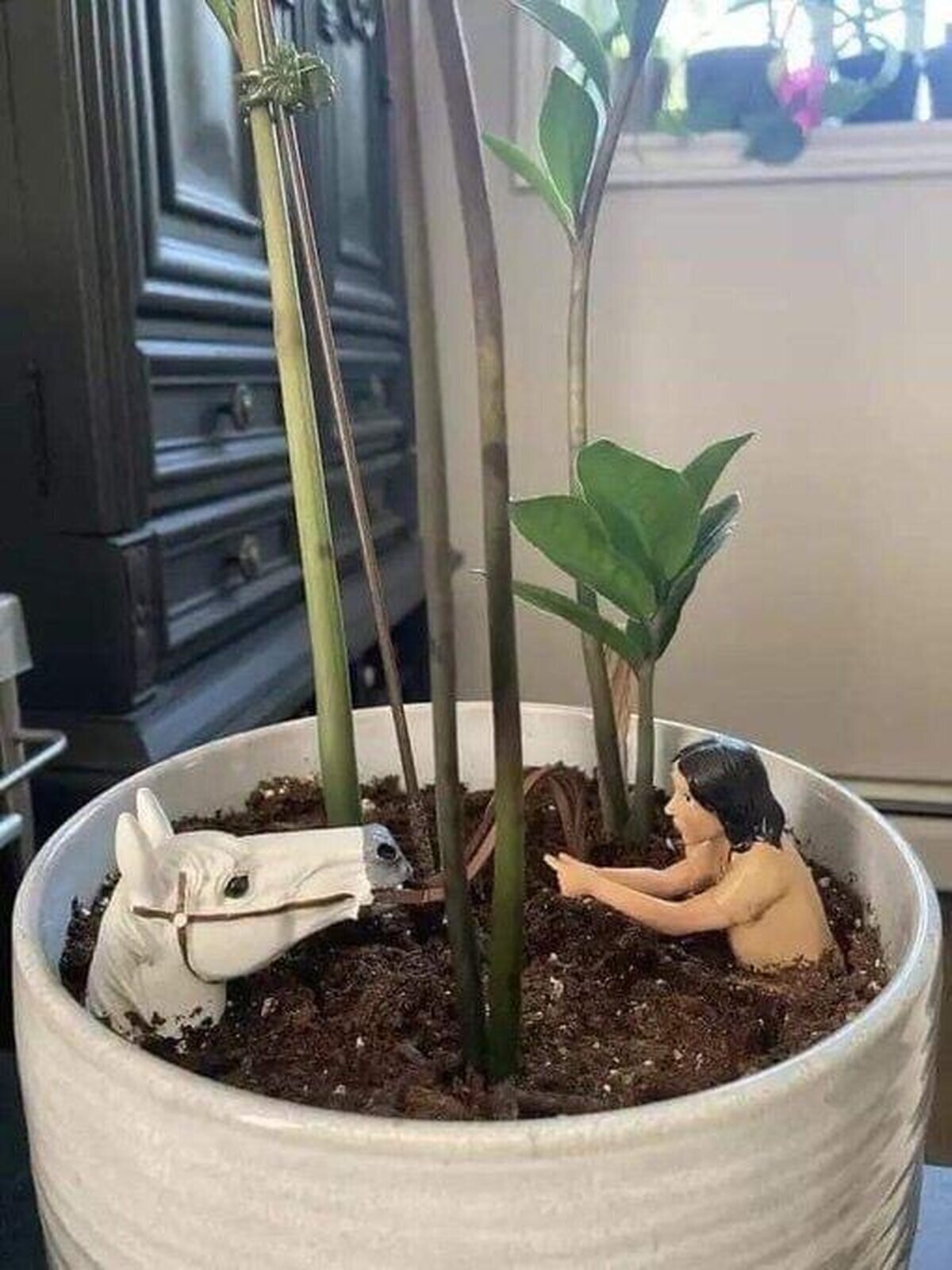 La crueldad hecha planta