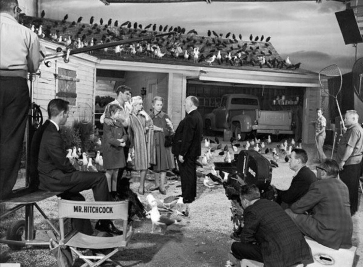 "Los pájaros" de Alfred Hitchcock (1963)