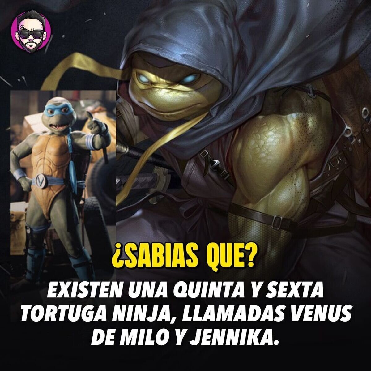 Venus de Milo apareció en la serie "TMNT the next mutation" de 1997, mientras que Jennika hizo su debut en los cómics de 2015