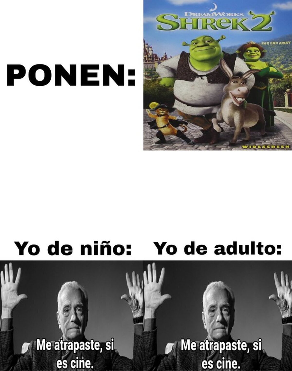 Si la ponen es obligatorio verla