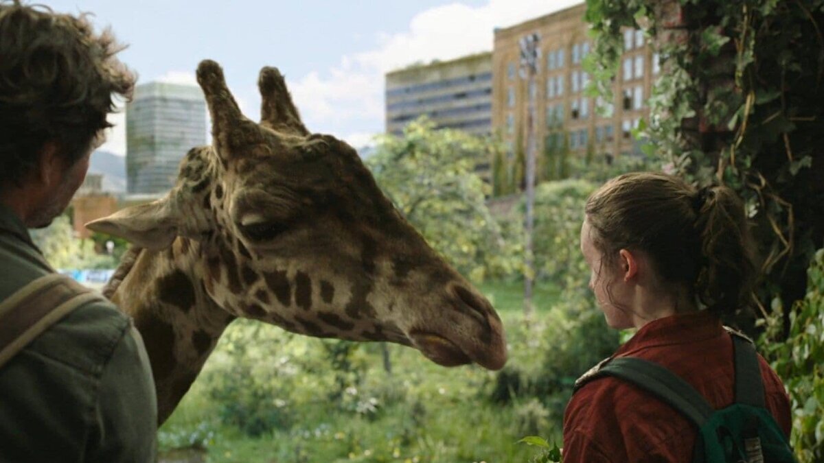 En la serie de The Last Of Us sale una Jirafa que recibió quejas por lo falso del CGI, la jirafa era de verdad