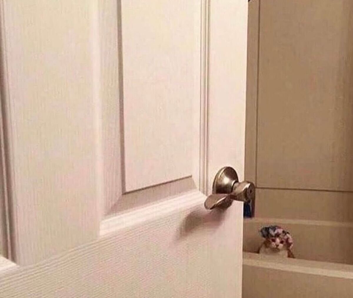 Yo: *entro sin avisar a la casa de mi vecino del animal crossing*mi vecino: