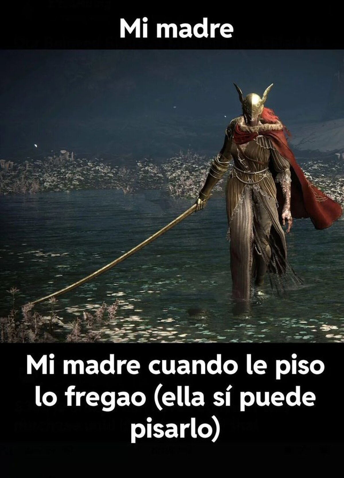 Has cometido un error