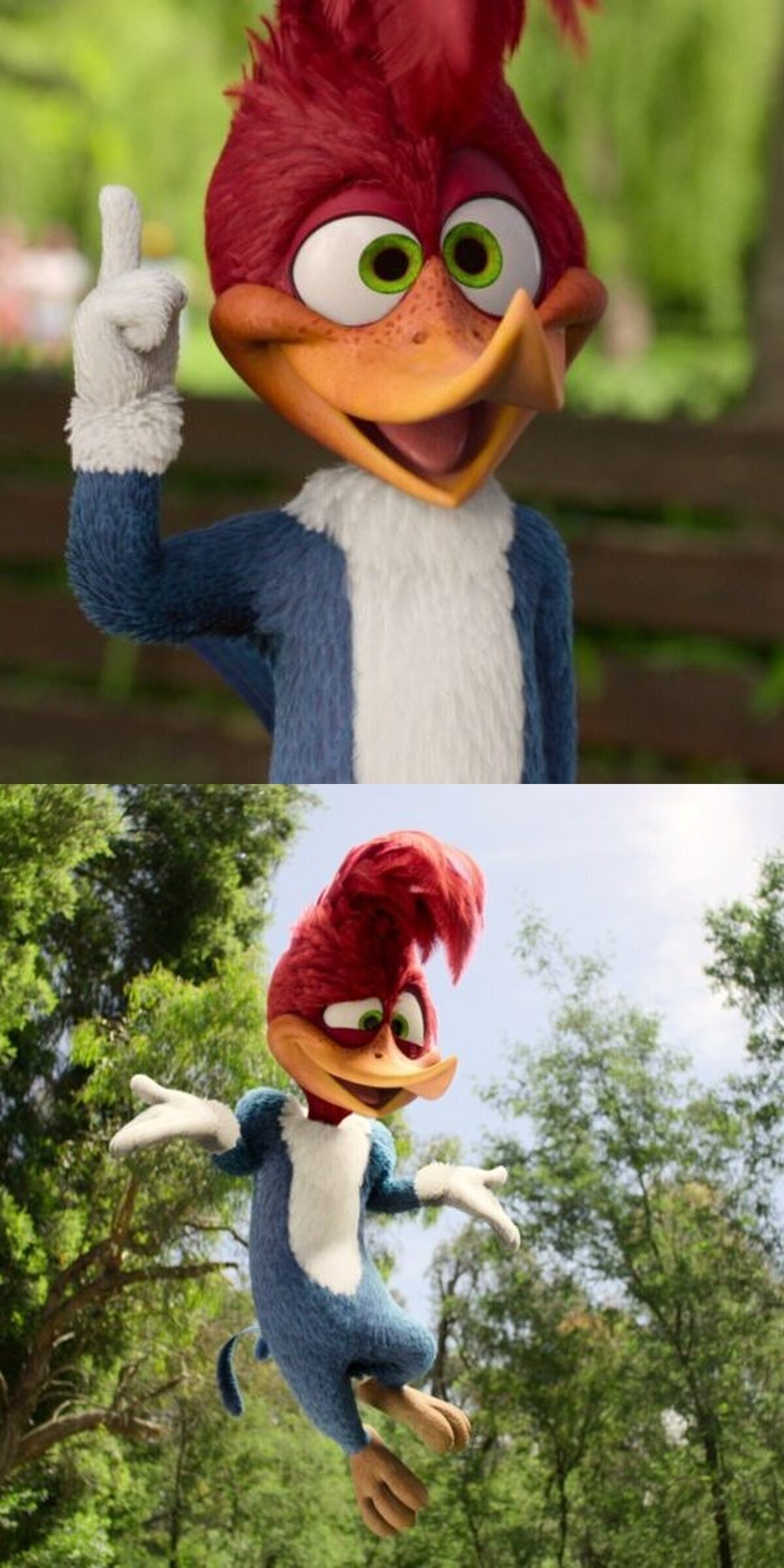 Primer vistazo a la nueva película 'El Pájaro Loco'. Estreno a finales de este año