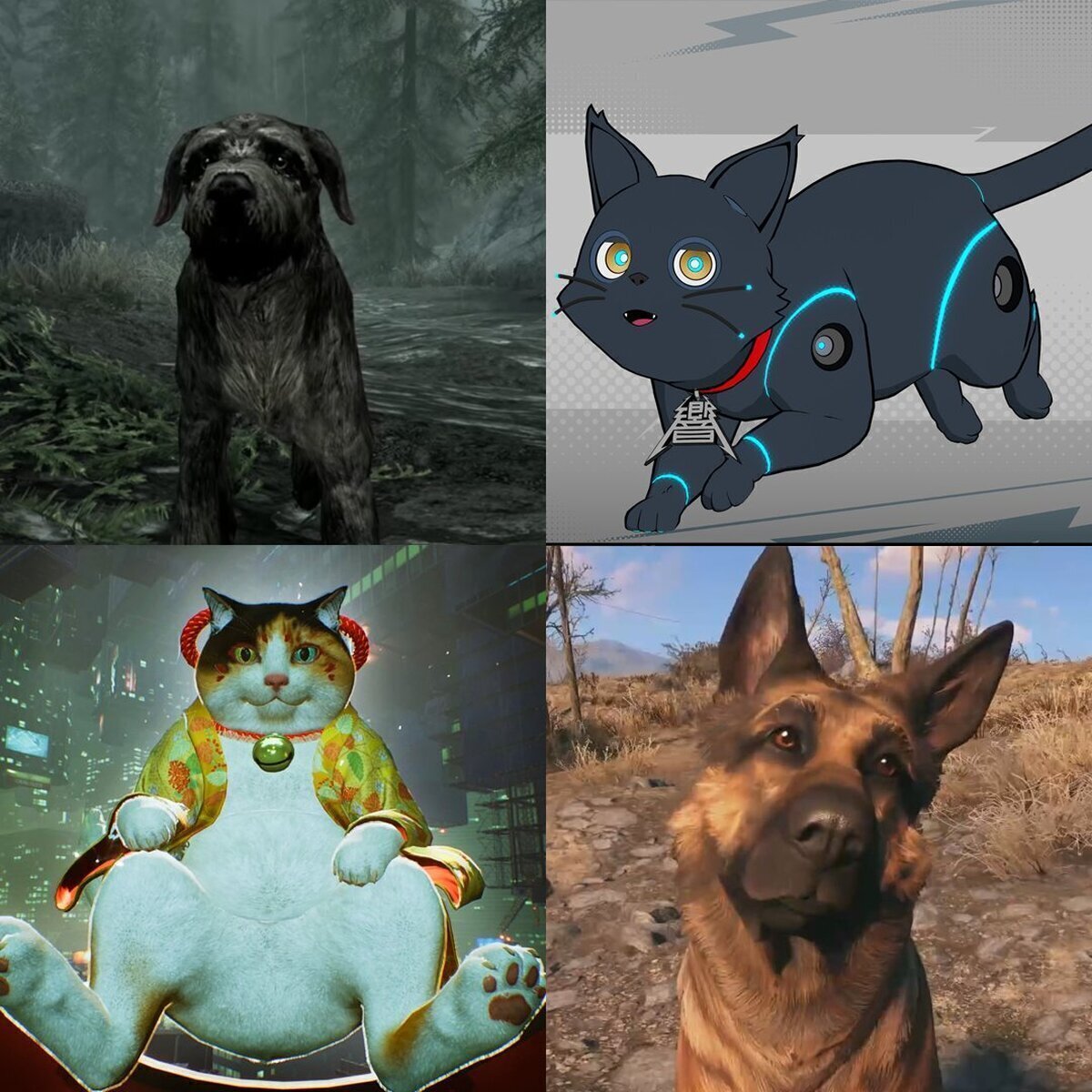 Puedes pasar el día con una de estas 4 mascotas, ¿con cuál te quedas?