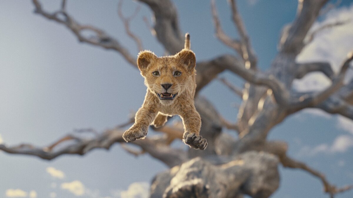 Nueva vistazo a 'MUFASA: THE LION KING. 'El tráiler se lanza mañana.