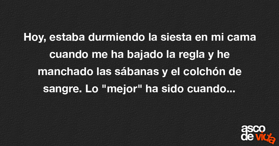 Asco de Vida / Hoy, estaba durmiendo la siesta en mi cama cuando me ha