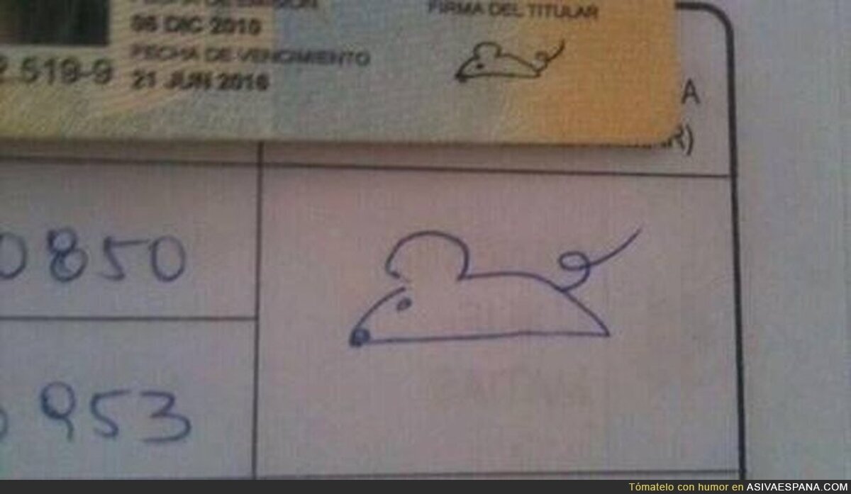Día de Elecciones....espera....