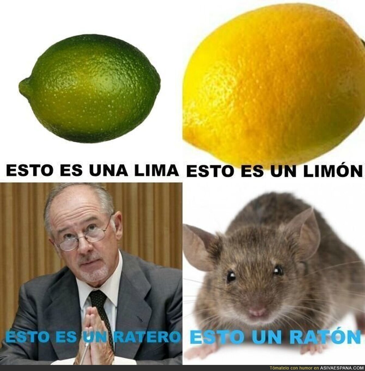 Las cosas por su nombre