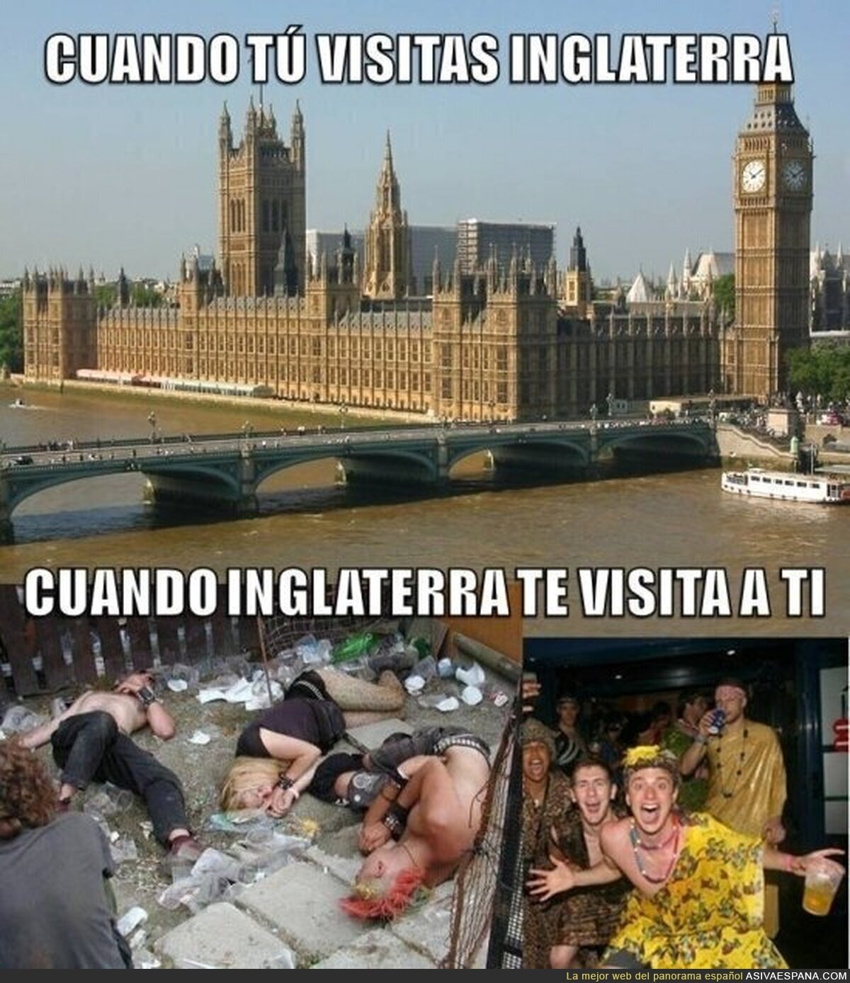 Tipos de visitantes