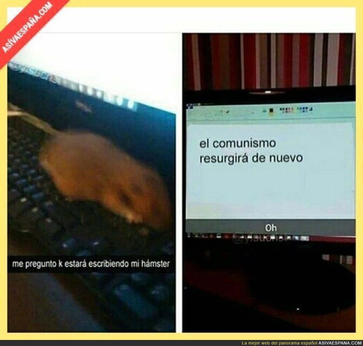 Mi hámster es comunista