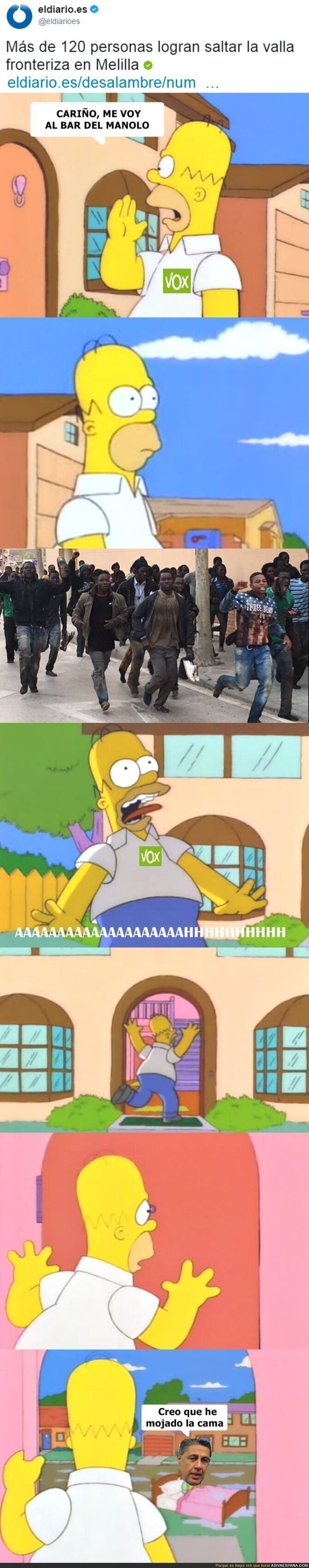 Corred insensatos están aquí