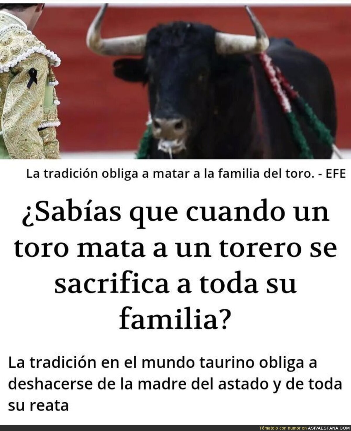 Y siguen diciendo que el toreo no es una tradición bárbara y medieval