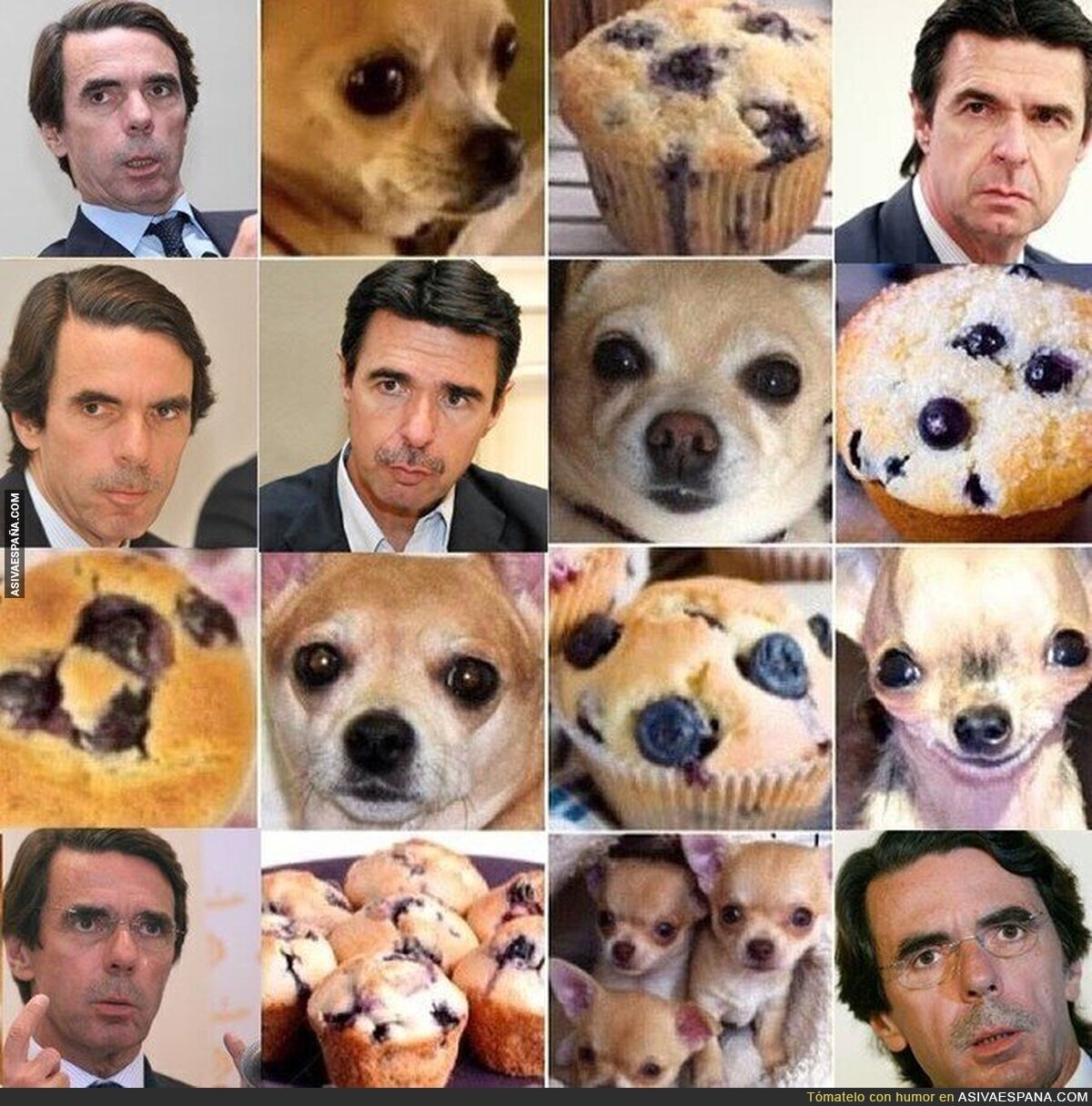 Perrete, Muffin, Aznar o Soria