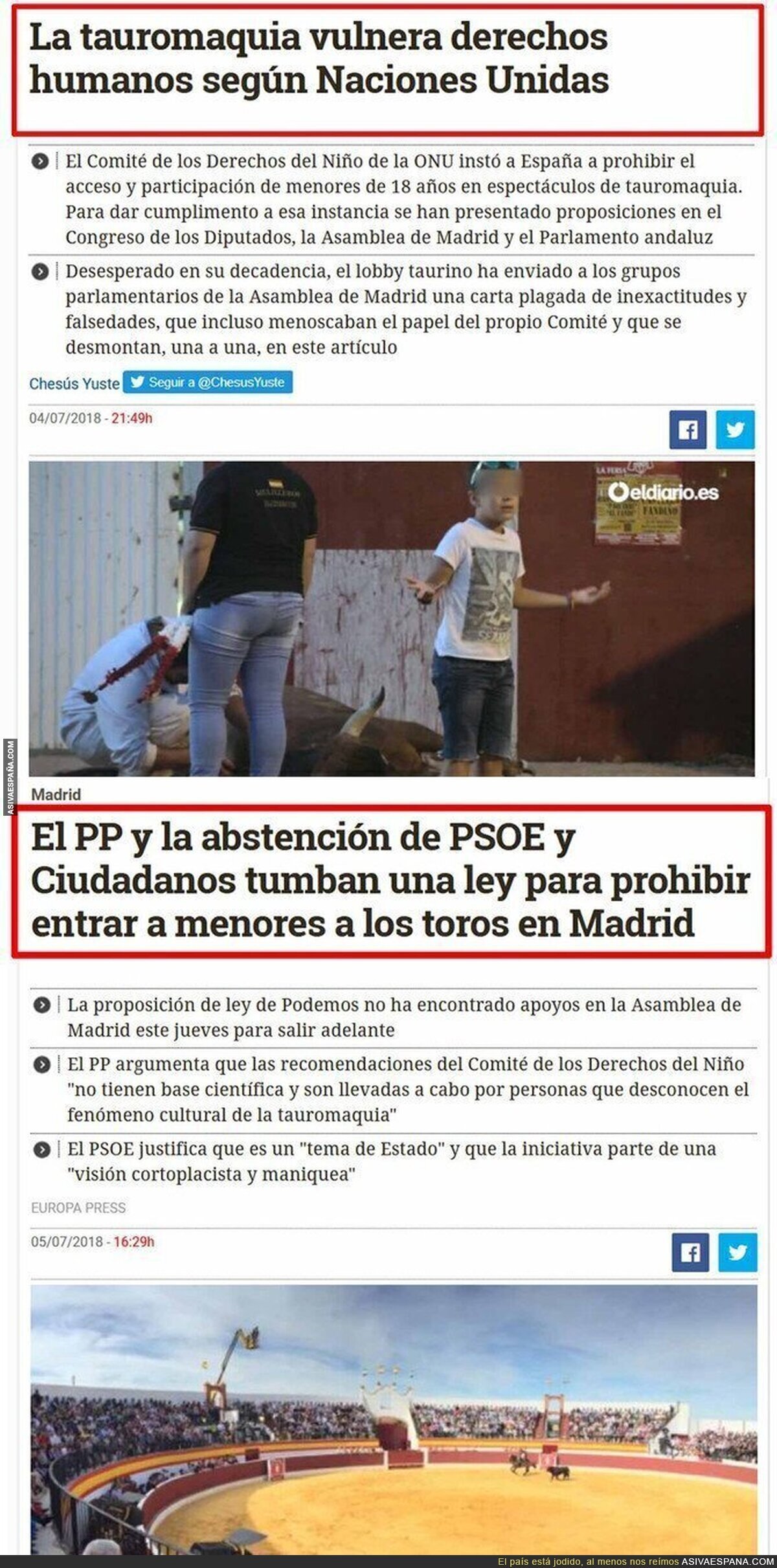 Torturar animales en una plaza de toros vulnera los derechos humanos