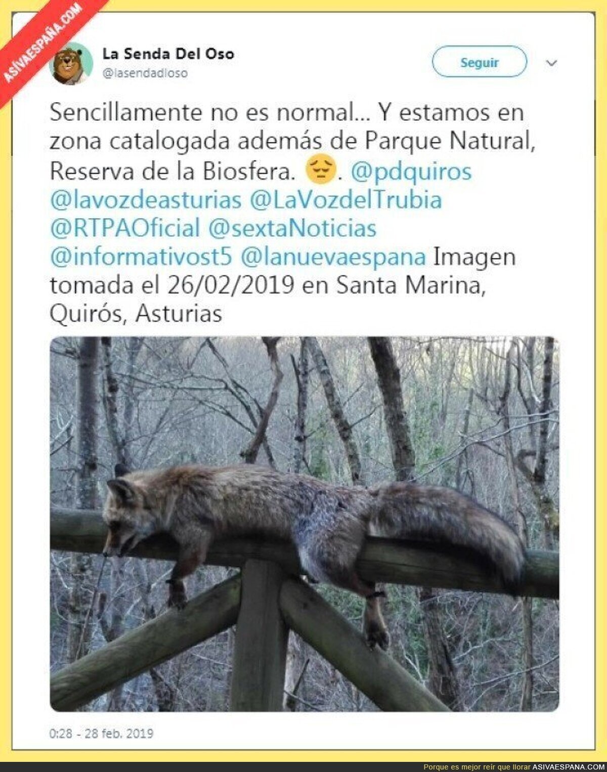 Hay que ser muy HDLGP