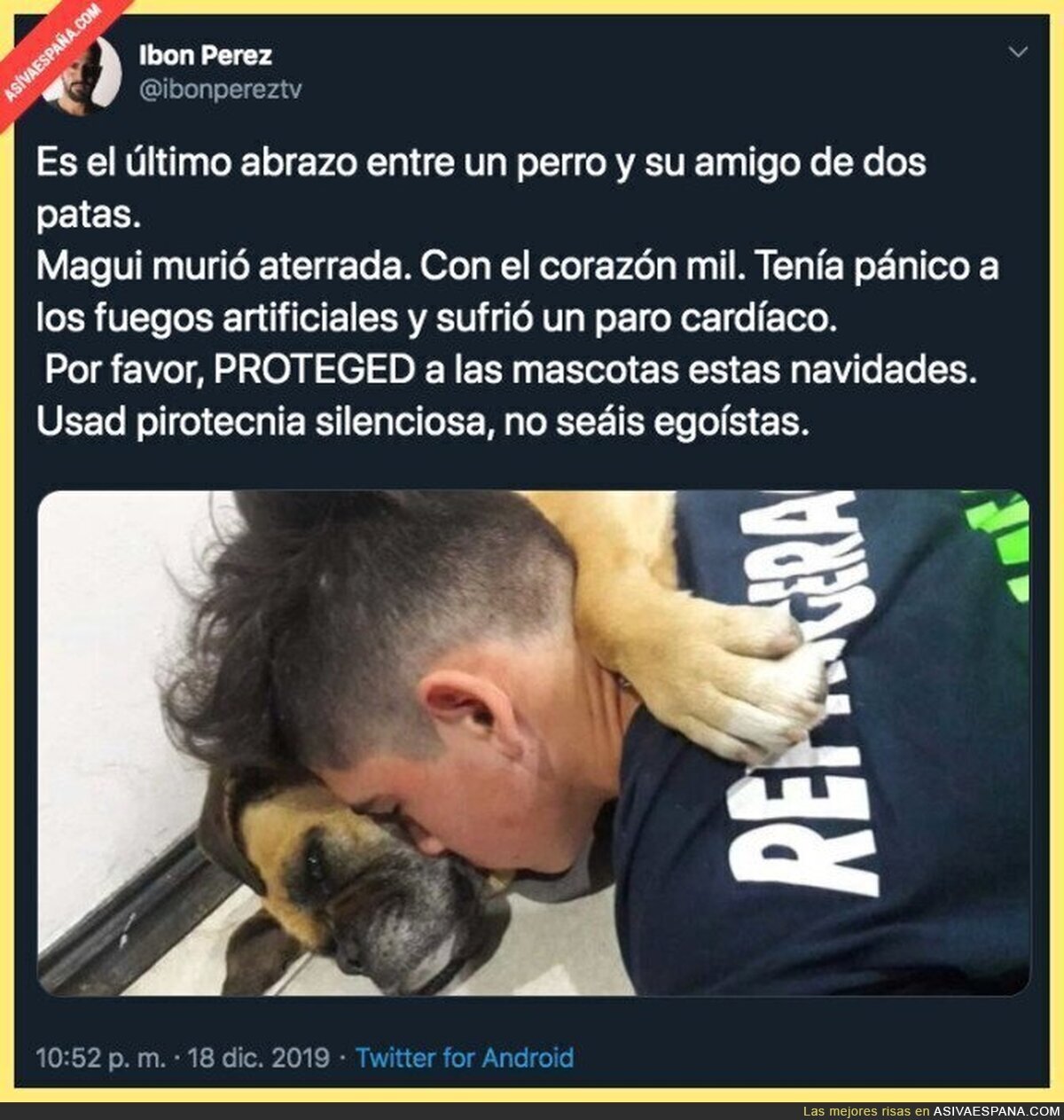 El gran miedo que sufren los perros con la pirotecnia