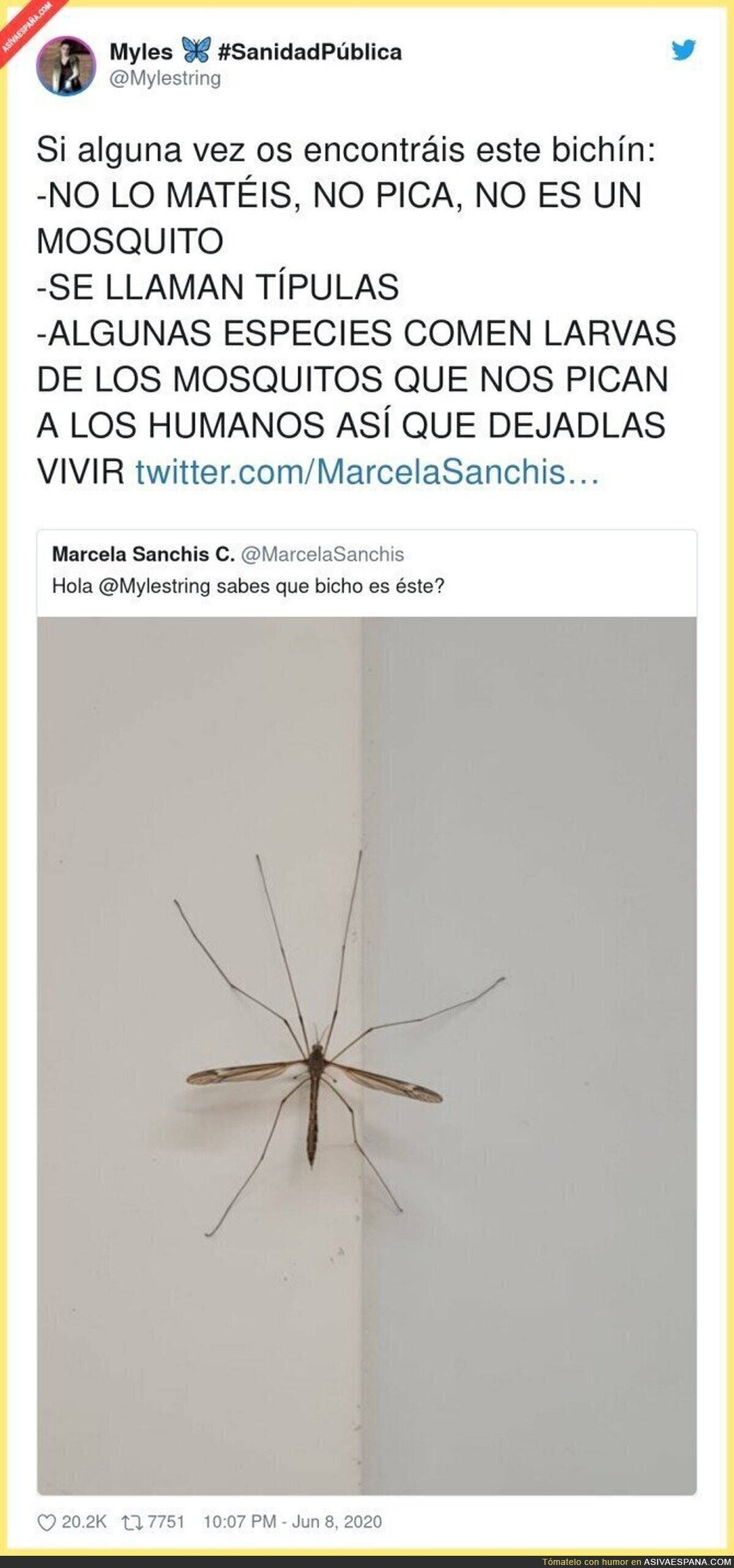 Los insectos que nos protegen