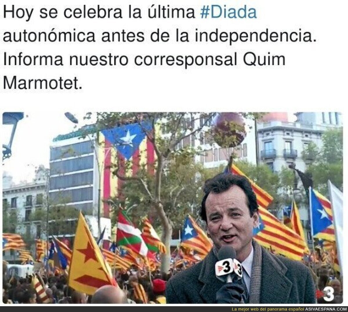 Feliz diada para todos