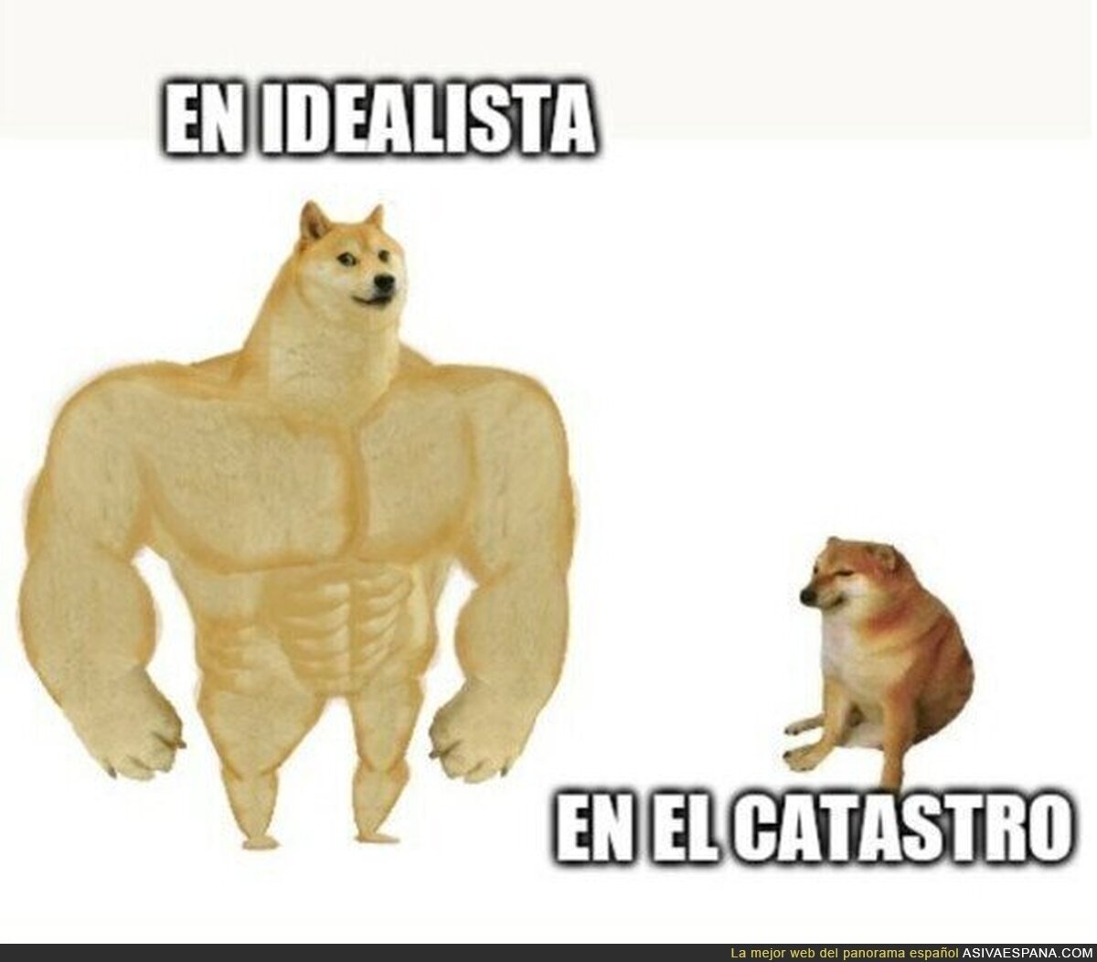 No se puede explicar mejor