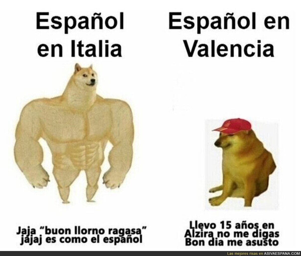 No se puede explicar mejor como son algunos