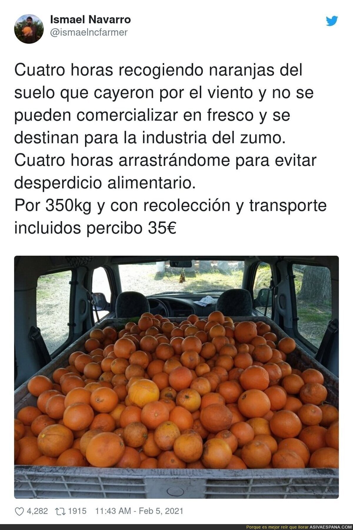 La ruina de trabajar en el campo