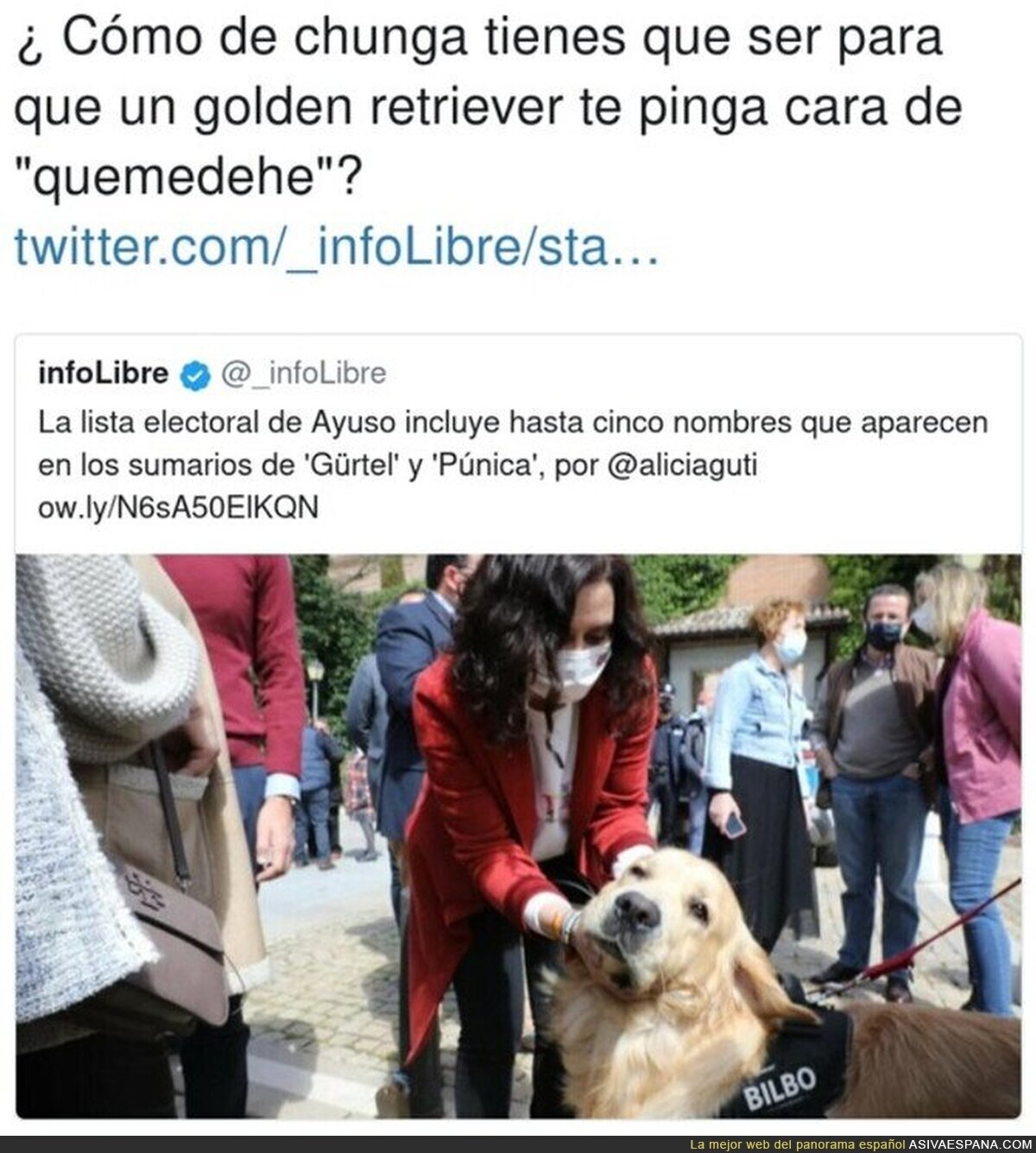 Pobrecillo el perro con lo buenos que son y lo que tienen que aguantar