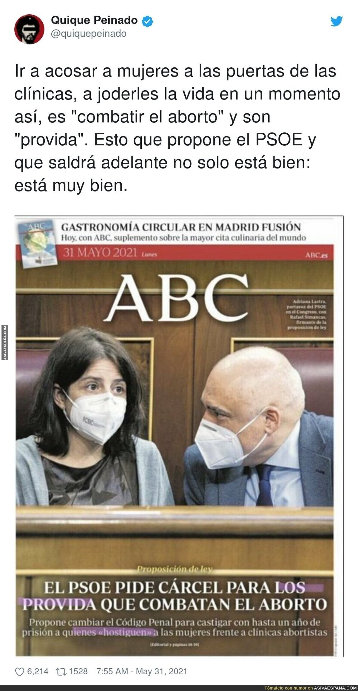 Es vomitivo lo que hacen los provida