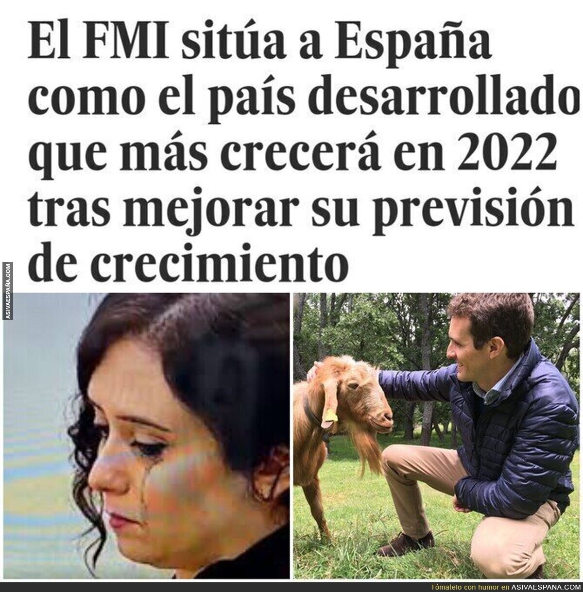 Al abuelito y a Heidi no les gusta que Pedro vaya a USA a tranquilizar inversores...quieren que vuelva a la montaña con ellos