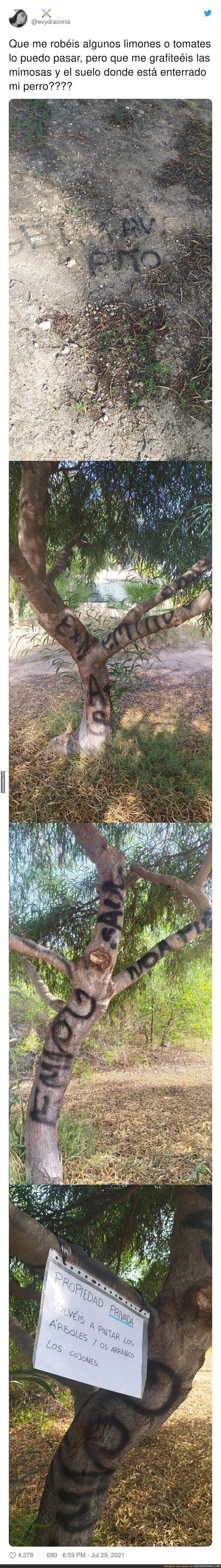 Así han atacado este trozo de terreno a una chica
