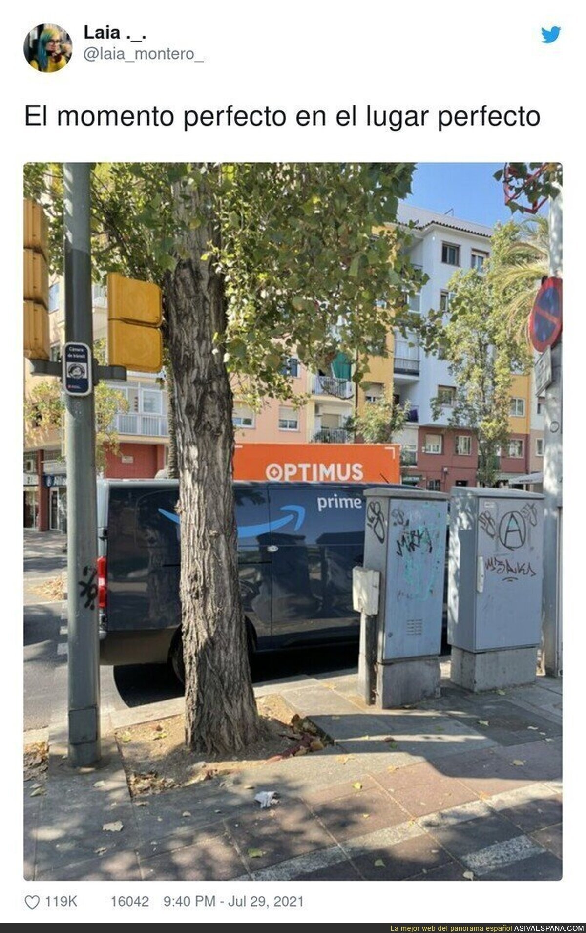 Pero que maravilla es esta