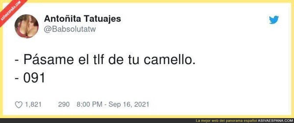 En Mérida solo, por @Babsolutatw