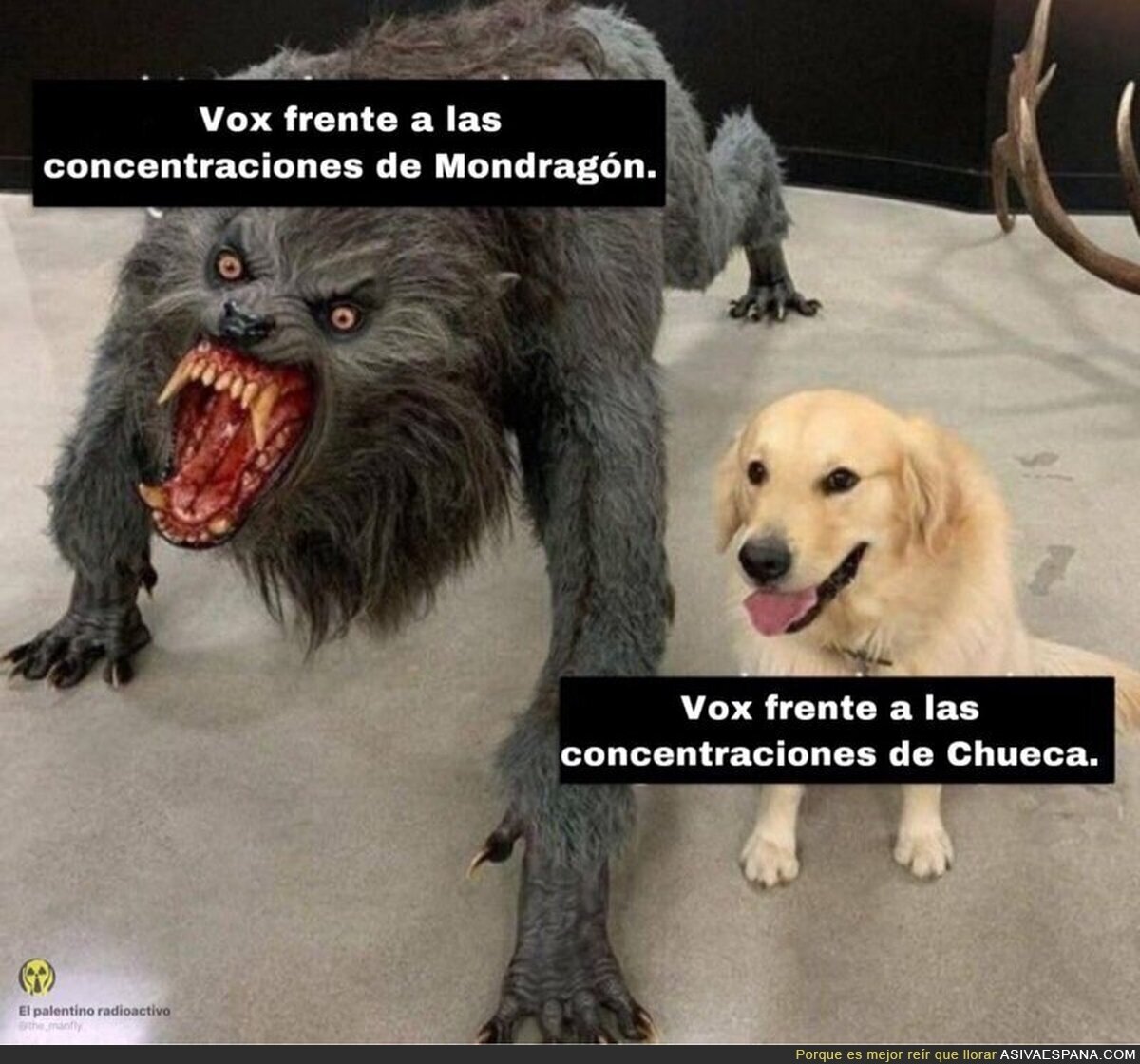 Dos tipos distinto de concentración, por @the_manfly