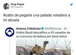 Kiko Matamoros se enfurece totalmente con este usuario de Twtitter tras ser mencionado en esta noticia surrealista de camellos