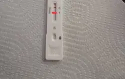 Parece que me libro de ver a mis cu&ntilde;aos