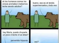 Ahora todo tiene sentido