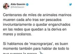 Los animales sufren demasiado por nuestra culpa