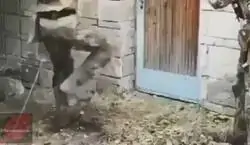 La realidad del PSOE en el Gobierno