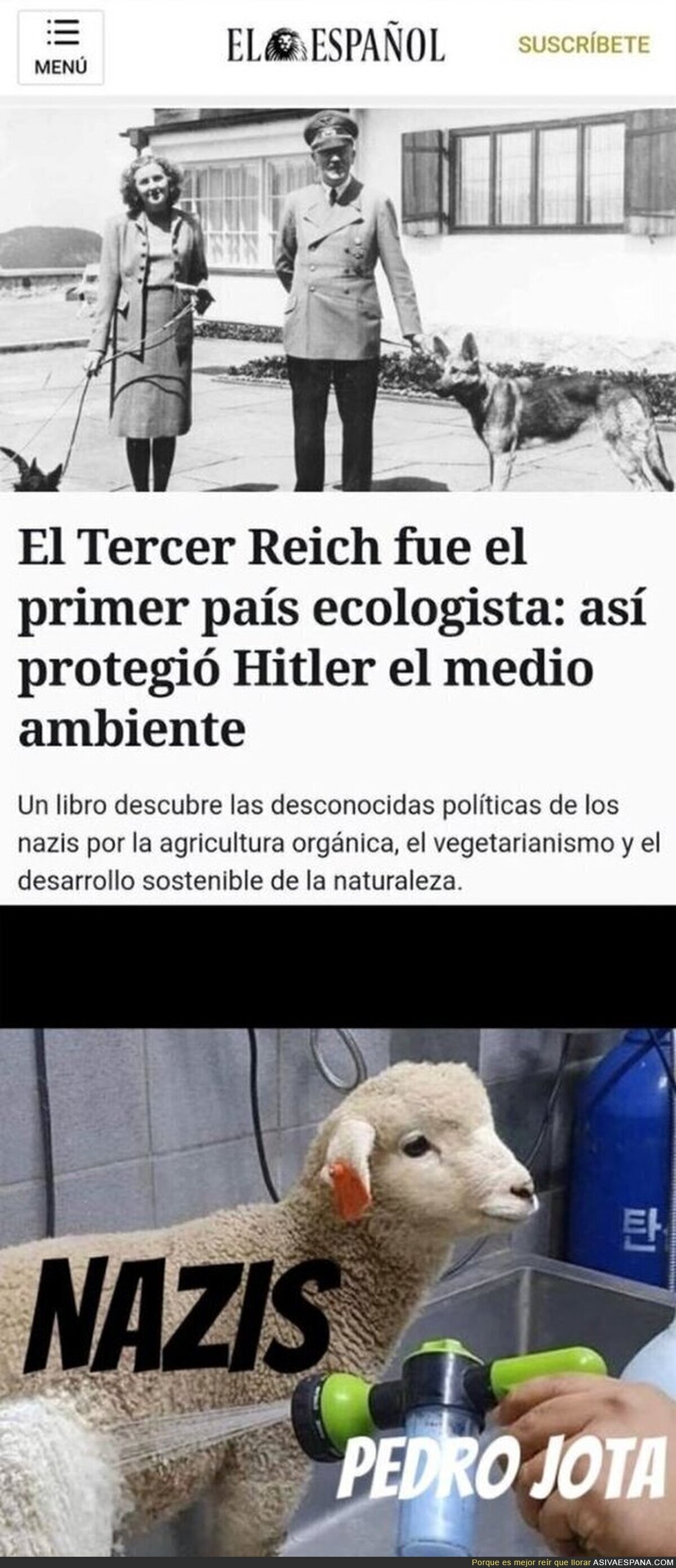El buen blanqueamiento nazi