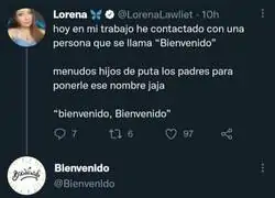 Bendito seas internet