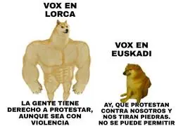 Simplemente VOX