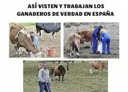 Diferencias m&aacute;s que notables